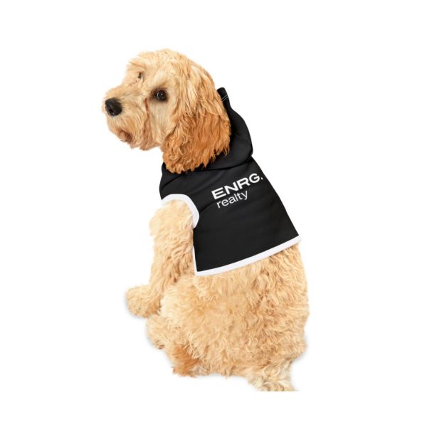 Pet Hoodie
